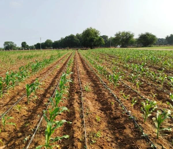 Prakrutik Farming