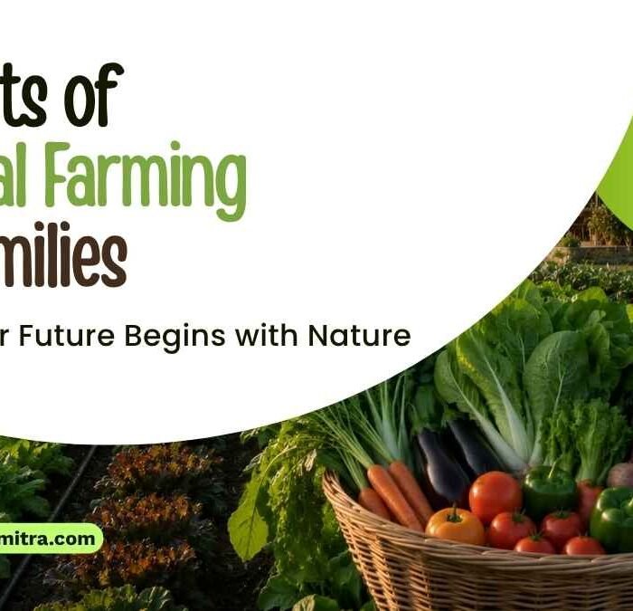 Benefits of Natural Farming for Families