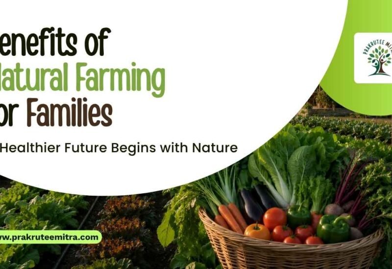Benefits of Natural Farming for Families