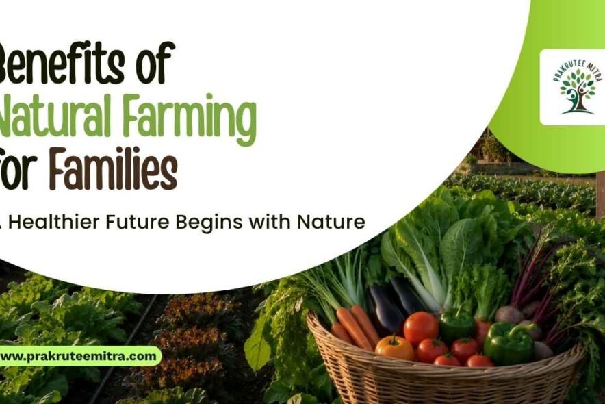 Benefits of Natural Farming for Families